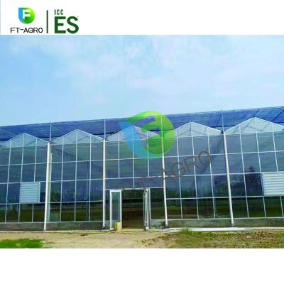 China Hot Galvanized Steel Frame Multi Span Easily Assembled Glass Greenhouse With Cooling System for sale