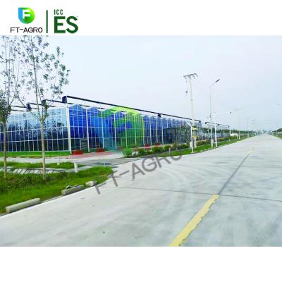 China Intelligent Control Easily Assembled Tomato Planting Tempered Glass Greenhouse for sale