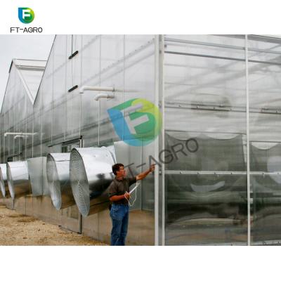 China Easily Assembled Single PC Agriculture Span Tropical Greenhouse for sale