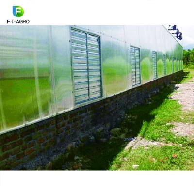 China Easily Assembled PC Agricultural Multi Span Greenhouse Plastic Roofing Sheet for sale