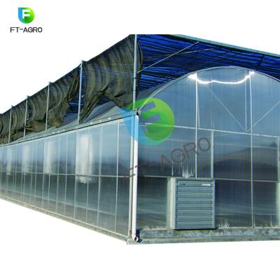 China Easily Assembled PO Film Greenhouse Easy Assembled Multi Span Agricultural Greenhouse for sale