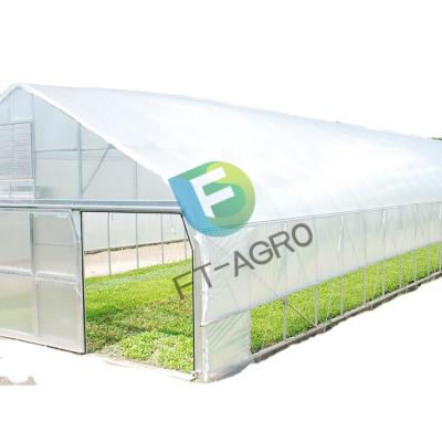 China PO Single Span Plastic Covered Greenhouse for sale