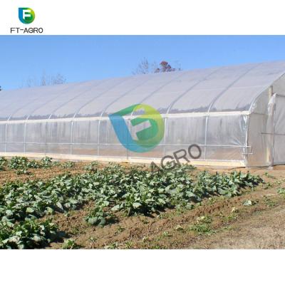 China Easily Assembled Professional Film Covering Tunnel Greenhouse for sale