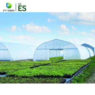 China Easily Assembled Tunnel Greenhouse Hot Sale Agricultural And Commercial Greenhouse for sale