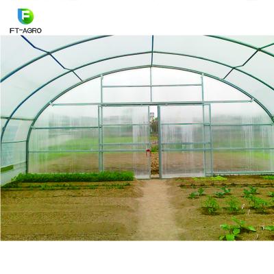 China Easily Assembled Professional Tunnel Film Covering Plastic Greenhouse for sale