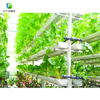 China Farms hot sale and NFT high quality hydroponic growing system on sale for sale