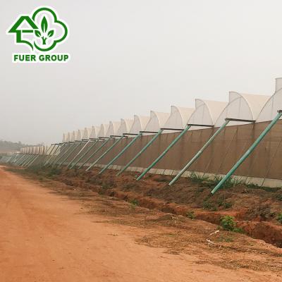 China Glass greenhouse for the Sahara for sale