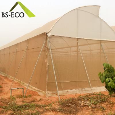 China Easily Assembled Uganda Style Tropical Agricultural Greenhouse for sale