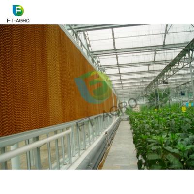 China Agriculture Greenhouse Wet Curtain Cooling Pads for sale