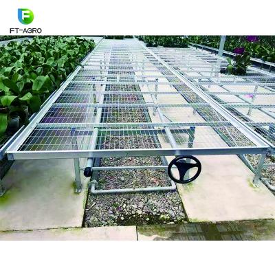 China Flower Vegetable Cultivation Mesh Seedbed For Growing Vegetable And Flower In Greenhouse for sale