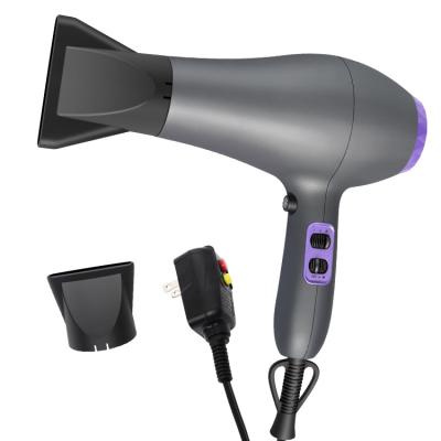 China Concentrator Nozzle Type Ionic Hair Dryer and 2 Speed ​​Settings for sale