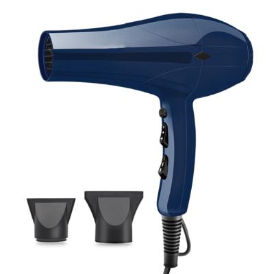 China 3 Ionic Heat 2 Speed ​​Button Hair Dryer Cool Closed Professional Ionic Ceramic AC Motor Fan Dryer for sale