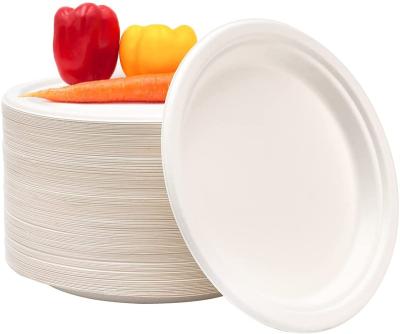 China Disposable Cheap Disposable Sauce Dish Tableware Various Size Party Dishes Paper Plate for sale