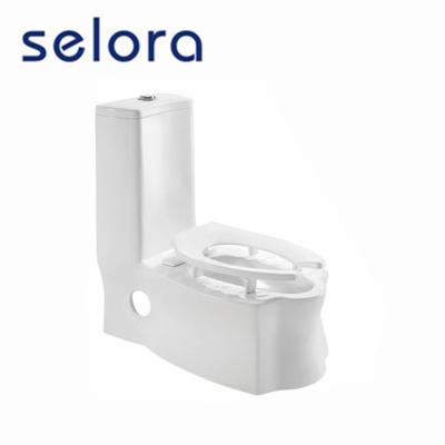 China Dual-Flow Sanitary Ware Dual Function One-Piece Upright Toilet With Siphonic Flush for sale