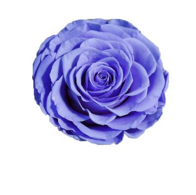 China Valentine's Day Docorative Gold Royal Blue Red Silk Flower Artificial Wedding Decorative Rose Head DIY Handcraft Preserved Rose Head for sale