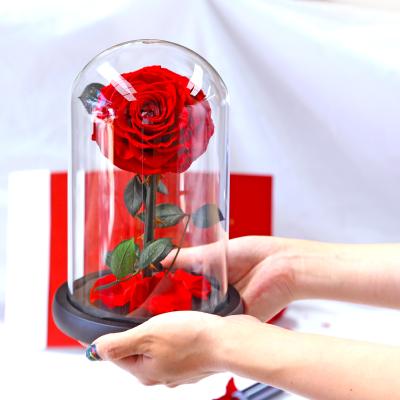 China High Quality Preserved Natural Rose In Glass Box For Eternal Flower Rose Glass Rose In Glass Valentine's Day Real Natur Roses for sale