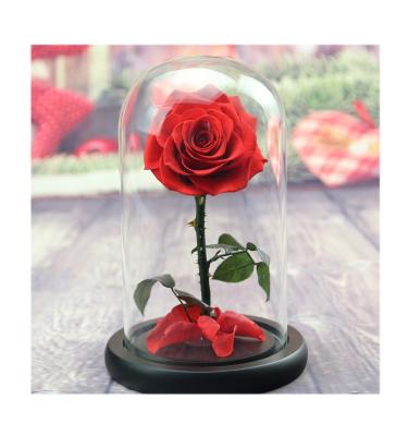 China 2019 Natur 2019 Eternal Long Lasting Hot Selling Natural Preserved Roses In Glass Dome Roses For Wedding for sale