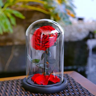 China Wholesale Cheap 5-6cm 50 New Idea Glass Natur Roses 2020 Infinity Colors Preserved Eternal Flowers In The Dome Perfect Christmas Gift Set for sale