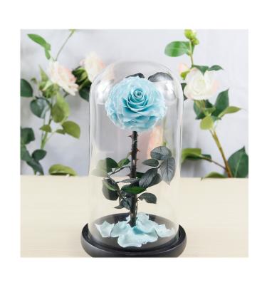 China Creative Natur Roses Preserved Fresh Flower Rose Glass Cover LED Display Romantic Valentine's Day Special Gifts for sale