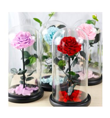 China Natur Roses Most Popular Girlfriend Gift Real Touch Flowers Long Lasting Rose Long Stem Glass Rose Preserved Rainbow Rose for sale