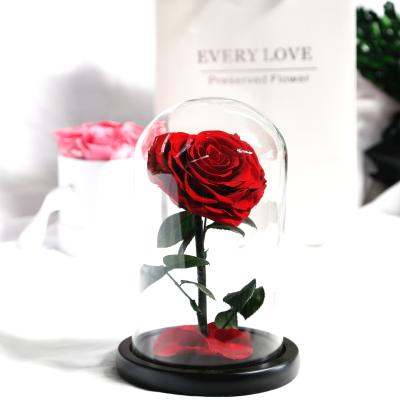 China Factory Direct Wholesale Home Decor/Gift Roses Forever In Bloom Glass Dome Preserved Roses for sale