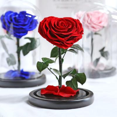 China New Home Decor/Gift Design Beauty and the Beast Rose Wholesale Preserved Eternal Roses with in glass dome for sale