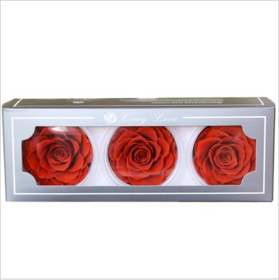 China Eternal Rose Leader Forever Preserved Lasting Popular Wedding Valentines Gifts 2020 Gift Wall Decor for sale