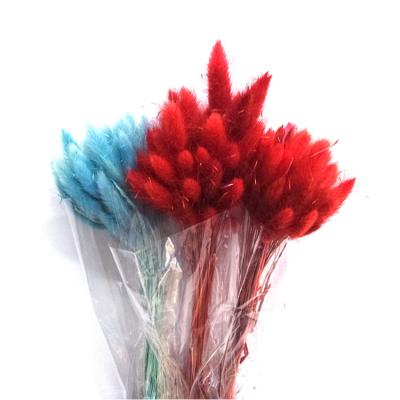 China 2020 Factory Price Natural Preserved Flower Bunny Tail Grass High Quality Wedding Home Decor Flower Arrangement Dried Lagurus Ovatus for sale