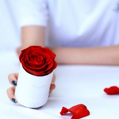 China Gift Preserved Rose In Different Gift Box Luxury Wedding Eternal Roses for sale