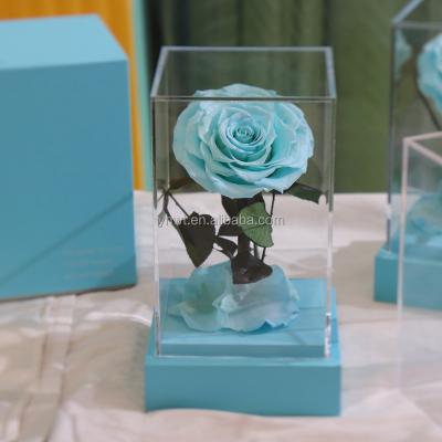 China Natural Fresh Rose With Stem Natural Round Flower Gift Eternal Eternal Life Forever Real Rose Flower Preserved Durable In Boxes for sale