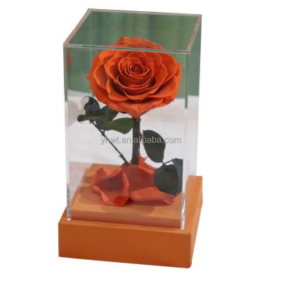 China Natural Fresh Rose With Natural Stem Wholesale Long Lasting Eternal Preserved Roses In Gift Box Gifts Forever Braid Boxes Wholesale for sale