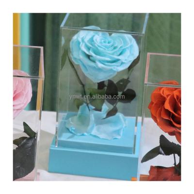 China Natural Fresh Rose With Stem 2021new Product Idea Million Natural Flower Stabilized Forever Preserved Gift Box Wholesale Rose Flowers Christmas Gifts for sale