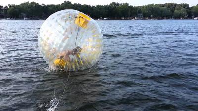 China Attraktives Küsten-aufblasbares Wasser-laufender Ball mit EN14960 3.0m x 2.0m Größe zu verkaufen