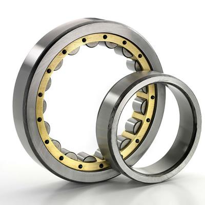 China Chinese Factories Long Life Cylindrical Roller Bearing Rn310 Nu309 Cylindrical Roller Bearing for sale