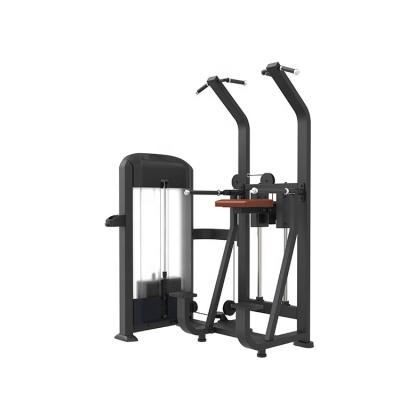 China Safe Commercial Gym Equipment Fitness Equipment Bench Press Product Aid Dip Chin Machine for sale