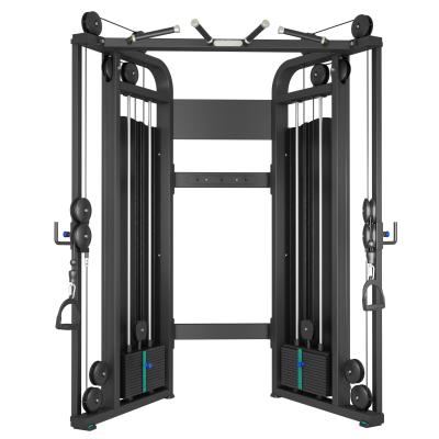 China Safe Functional fitness gym+equipment of Small Bird commercial and bodybuilding trainer machine for sale for sale