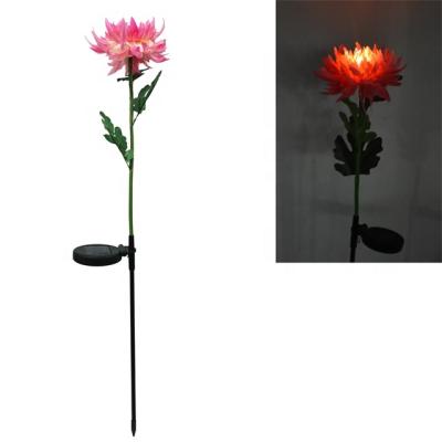 China LANDSCAPE Light Up Chrysanthemum Mounted Solar Plastic Flowers Led Light Outdoor Garden Stake Garden Lamp for sale