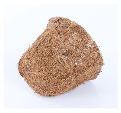 China American style 10 inch round biodegradable coir liner hanging coconut flower pots for sale