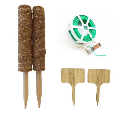 China Modern 12 Inch Cocos Plants Biodegradable Poles With Variety Foam Pole Accessories Like Totem Pole Support for sale