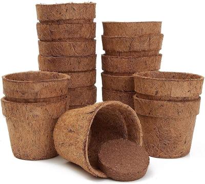 China American Style Pure Coconut Coir Netted Seed Starting Granules 5cm Diameter 1.5cm Thickness Coconut Disc For Gardening Planting Soil for sale