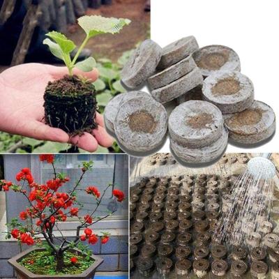 China Wholesale Size Variety American Style Plant Coconut Seeding Tablet For Garden Plants for sale