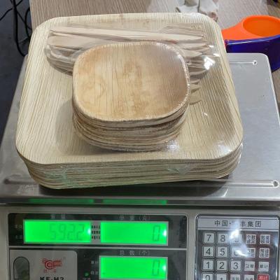 China 2021 100% Eco-Friendly 6 Inch Natural Place Palm Leaf Biodegradable Disposable Palm Leaf Dishes With Custom Packages for sale