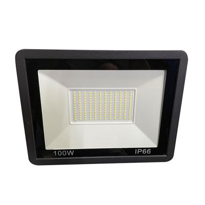 China Garden Factory Direct Selling IP66 Waterproof 100W Multifunctional Flood Light Lamp Spotlight Lamp for sale