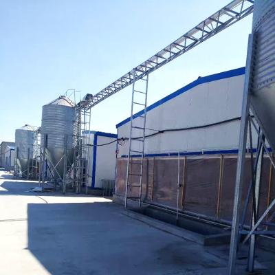 China Save Breed Cost Feed Silo For Egg Poultry Farms Equipment / Layer Broiler / Battery Hen House System Durable Desgin For Sale In Vietnamese for sale