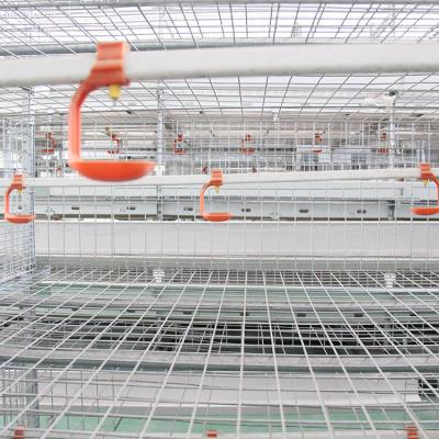 China Full Automatic Cheap Price Broiler / Fully Automatic Layer Chicken Cage With Drinking System For Battery Poultry Farm Water Equipment In Kenya for sale