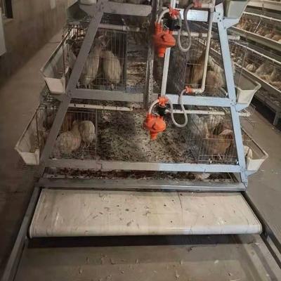 China Layer Brolier Breeder Chicken Layer Cage System Automatic Price Chicken Farm Battery Poultry Farm House For Sale In Nigeria for sale