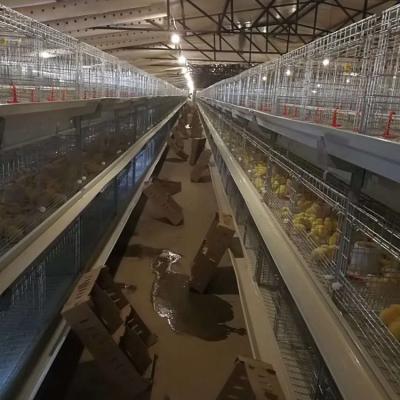 China Type 60 Chicken Farm Design New 2019 Poultry Farm Broiler Cage 3 Tier H Row Automatic Feeding System Chickens Dung Drinking Water for sale