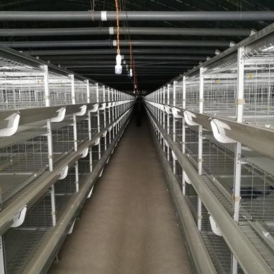 China Chicken Raising 2019 Hot H-Frame Full Automatic Rearing Chick Brooders And Raising Hens For Sale Cage System for sale