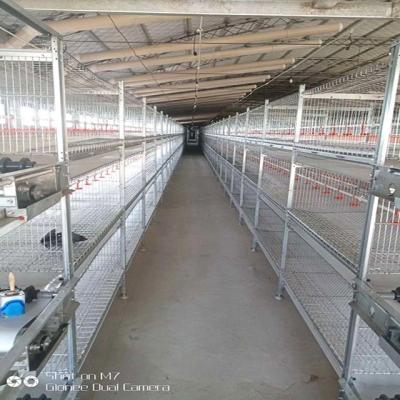 China Farms H-frame Hot Dipped Galvanized Full Automatic Pullets Raising Chicken Brood Cage System For Chicken Farm Building For Philippines for sale