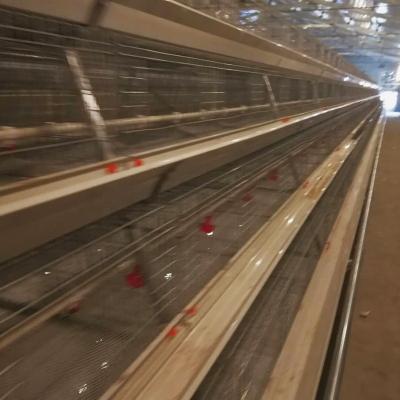 China Cheap Price 4 Tiers A-frame Style Farms Full Automatic Chicken Cage System Cage Hens Egg Laying Houses Equipment For Sale In Keny for sale